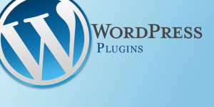 dịch vụ mua plugin wordpress